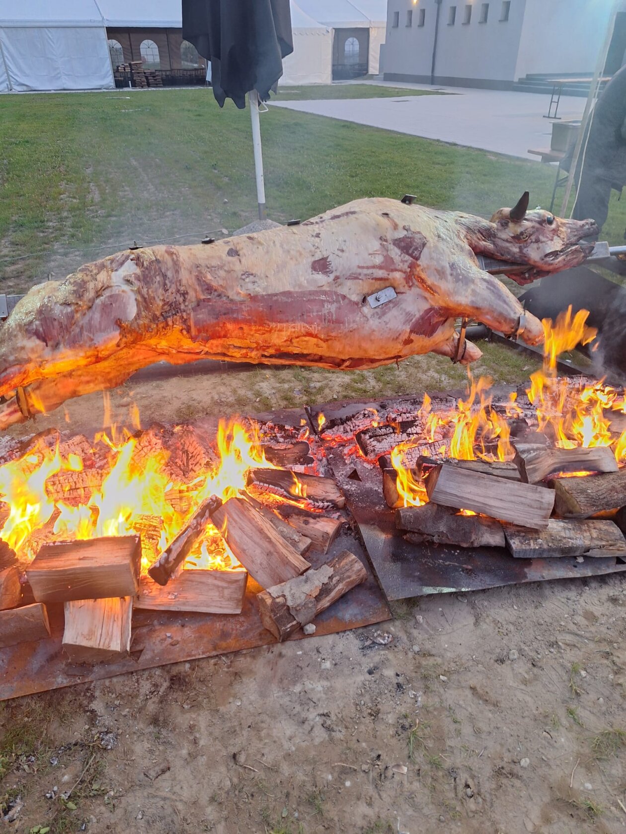 Stjepan Črnčec Stjepan Črnčec