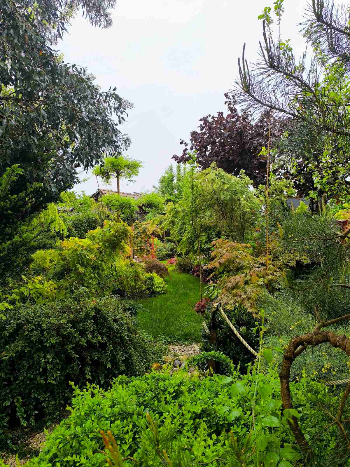 IMG-25441e28e91bdd63dca9c3b49be0a5fe-V