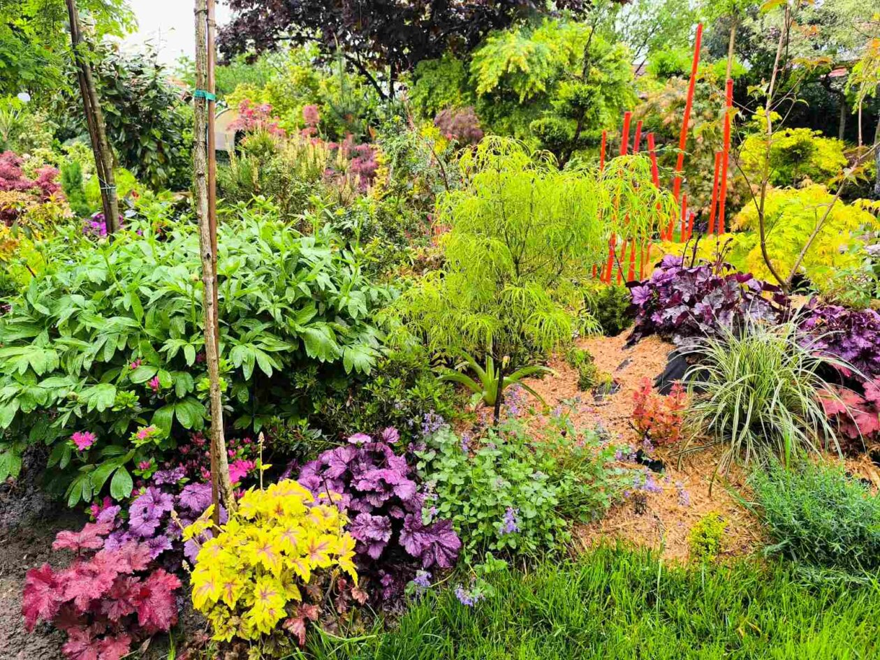 IMG-266a6213fa2bd44c824be6579d5827ae-V