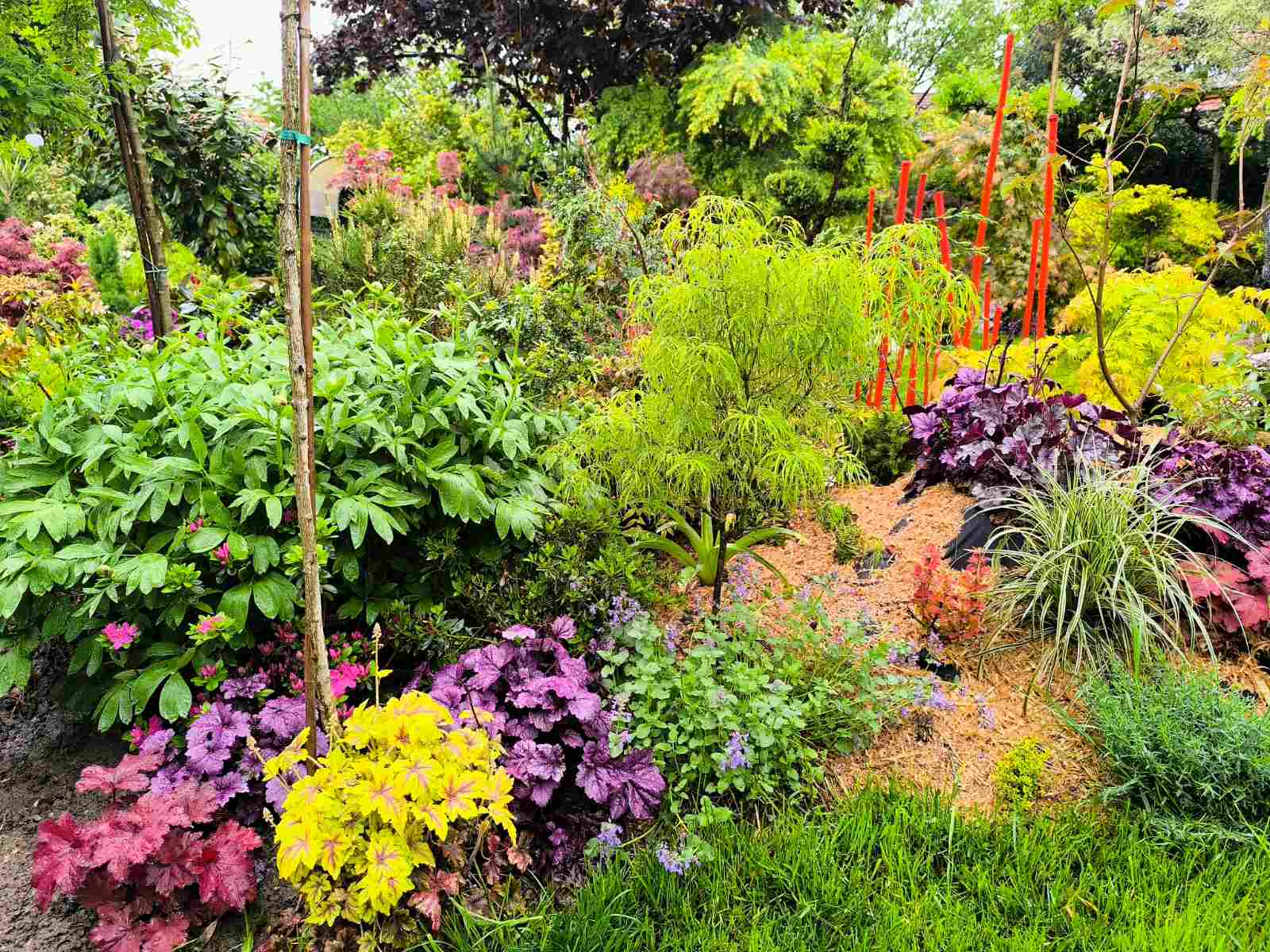 IMG-266a6213fa2bd44c824be6579d5827ae-V