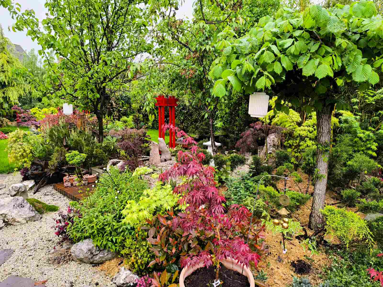 IMG-2ac328b782937b6da372d9dc81b58374-V