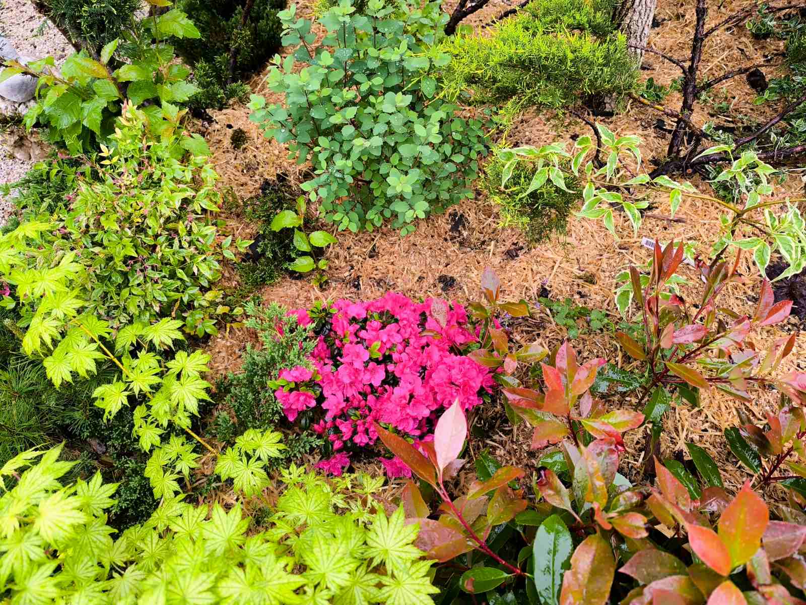 IMG-374cedae7583a123efbd515035369b30-V