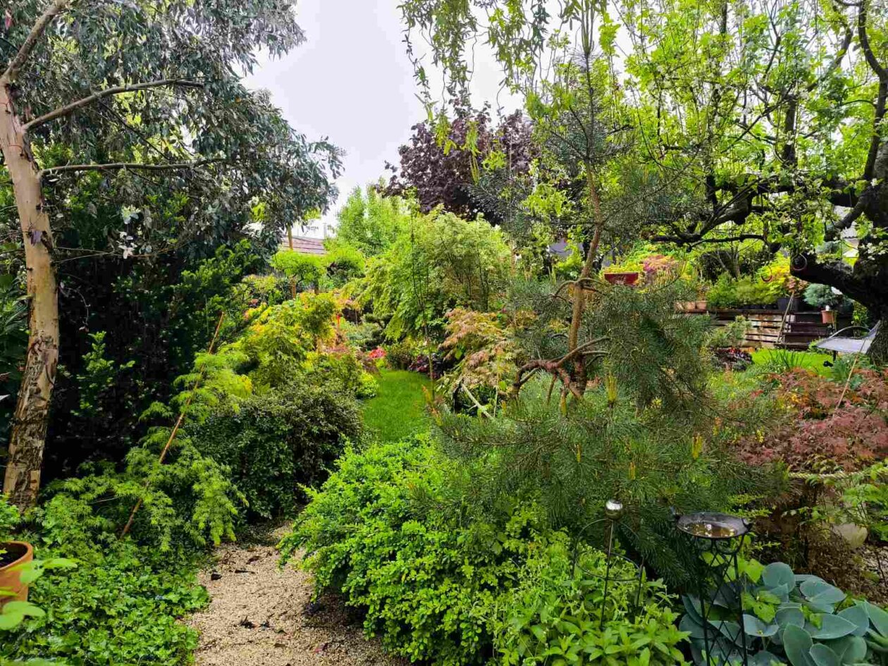 IMG-3ce746af5a4bbebbe30221d11d9d71a4-V