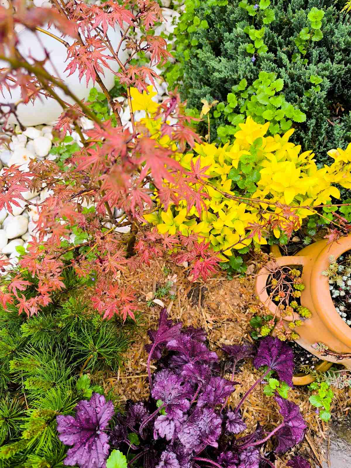 IMG-44d2b1fcfe6d6a93a6cbfd1ca867beb3-V