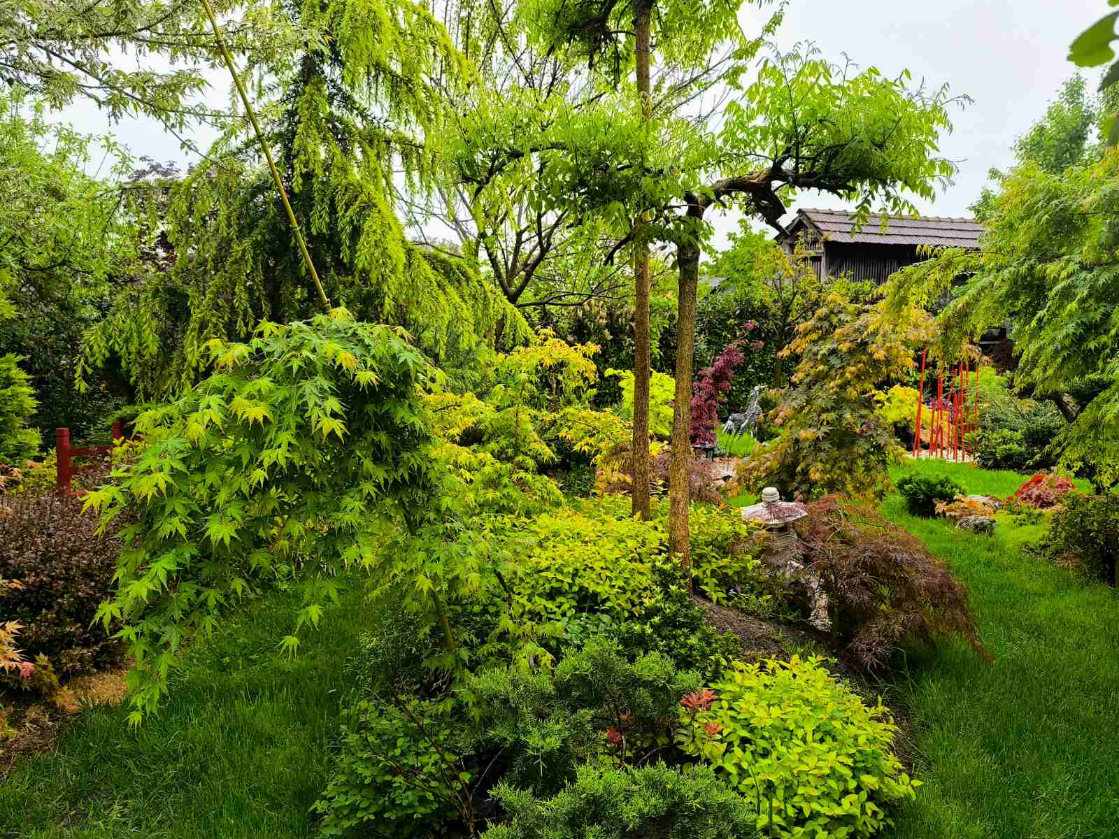 IMG-51e1855b6edf3a7275d82c61daf9ceea-V