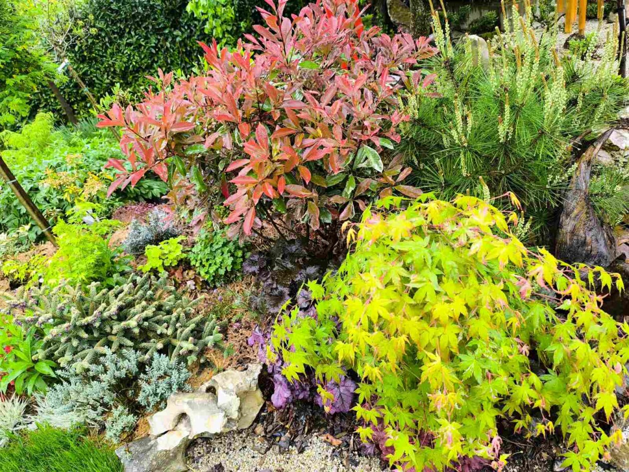 IMG-522638867c7df9eda0cc5f33eb1017ab-V