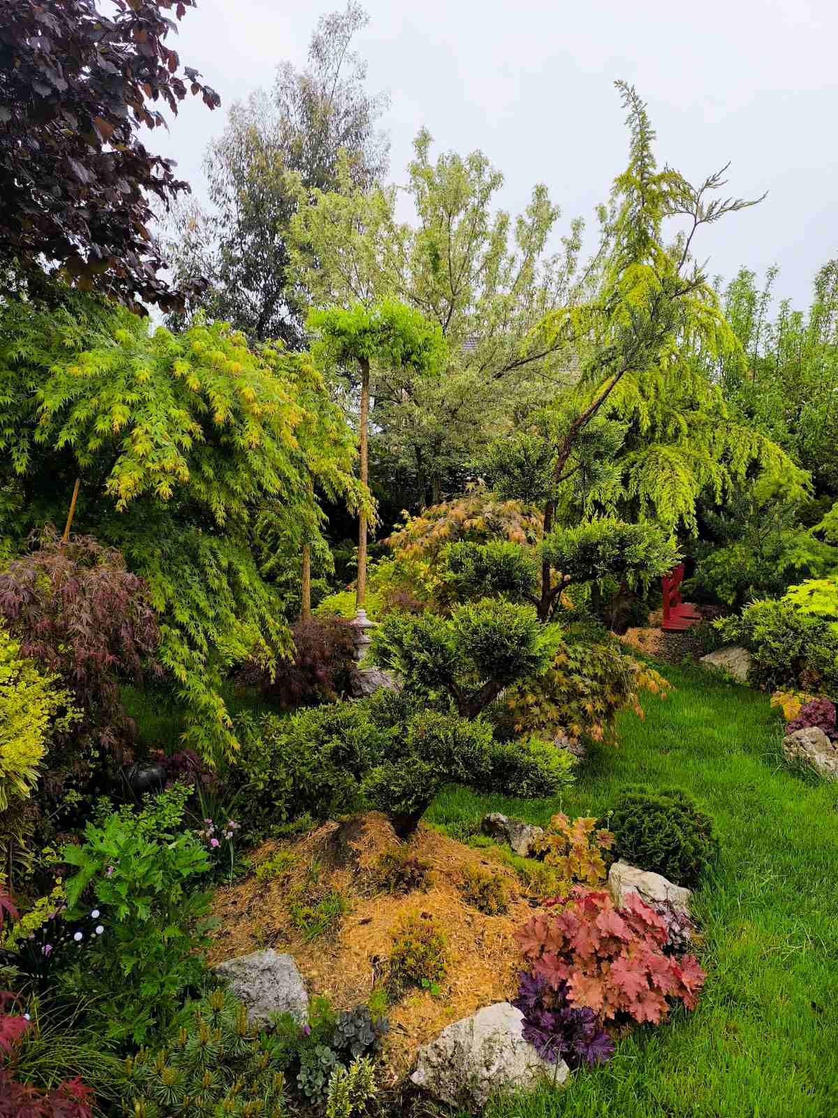 IMG-56669522dcaa87df83b4efda4151a0d4-V