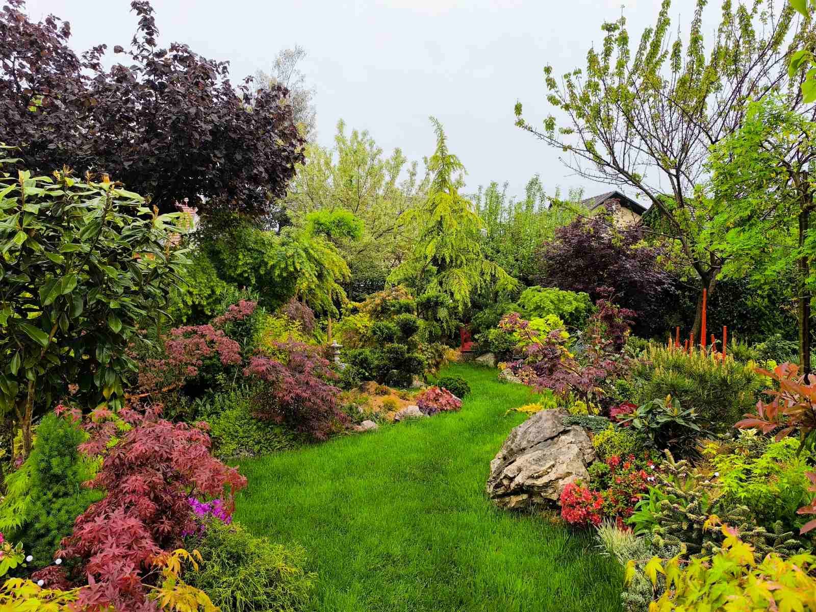 IMG-5c20a8104ea812296ecd61c01f101b1a-V