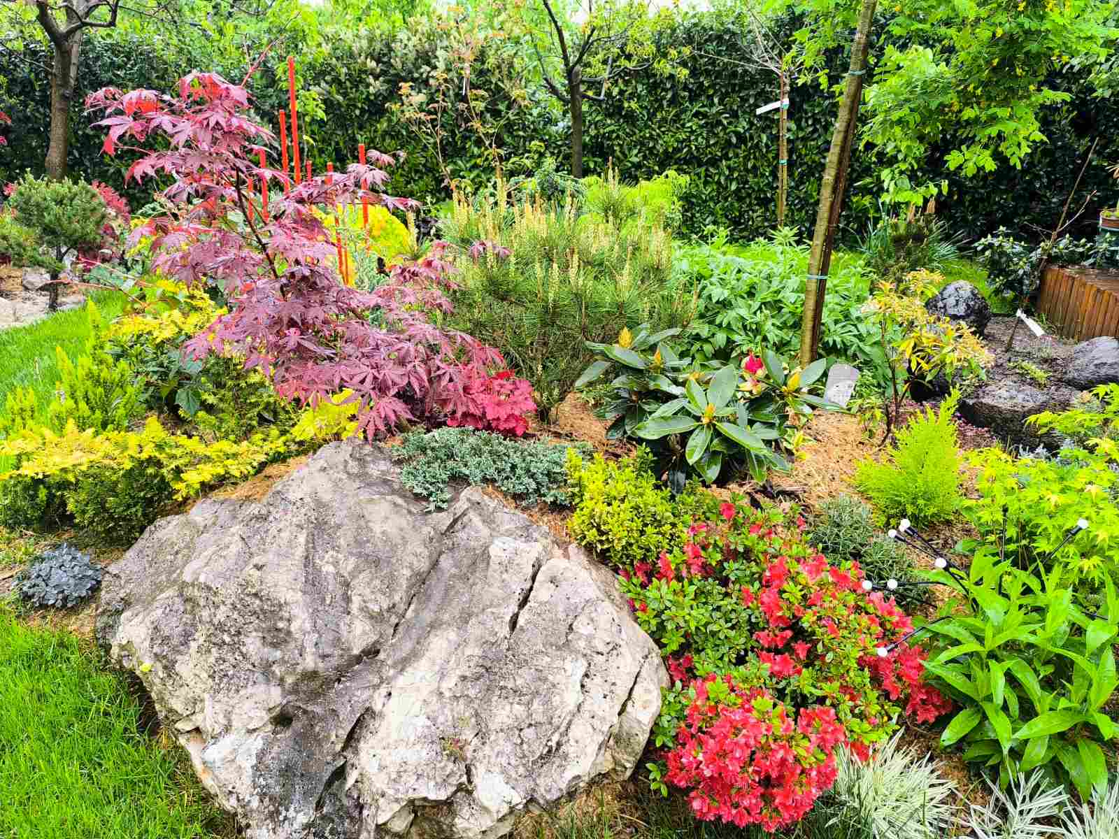 IMG-678f4b9b1b4db3f6f702153aac18c395-V