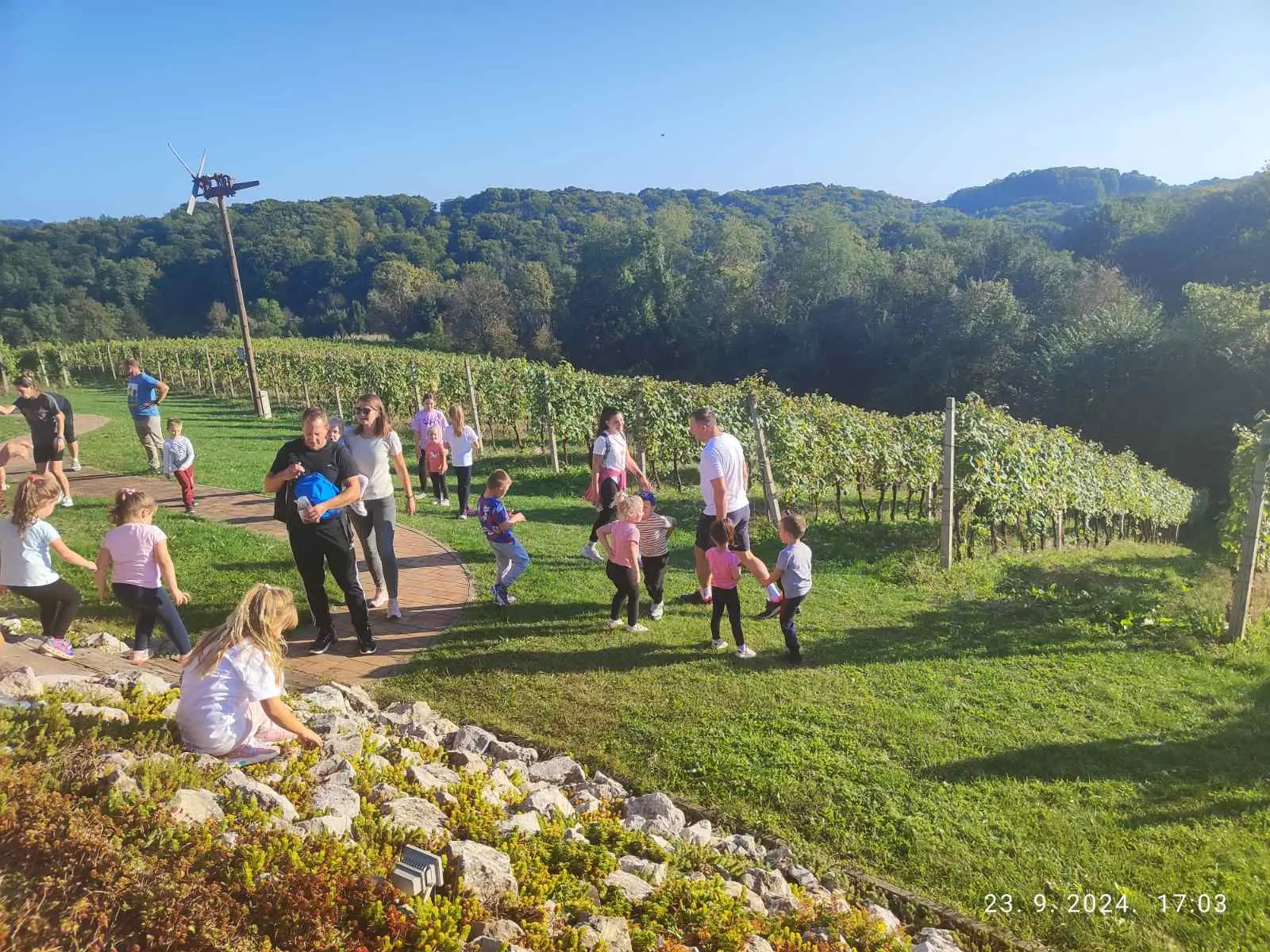 IMG-6cb8c310780781236255d6cf780079d5-V