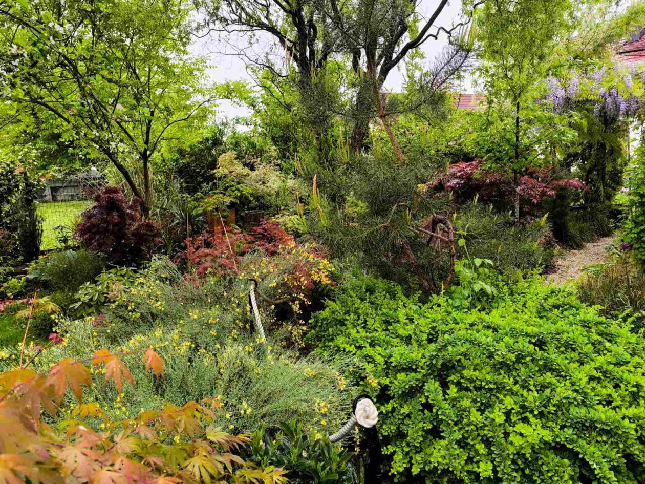 IMG-73b4a257469f3dd0e20ba2cb89599078-V