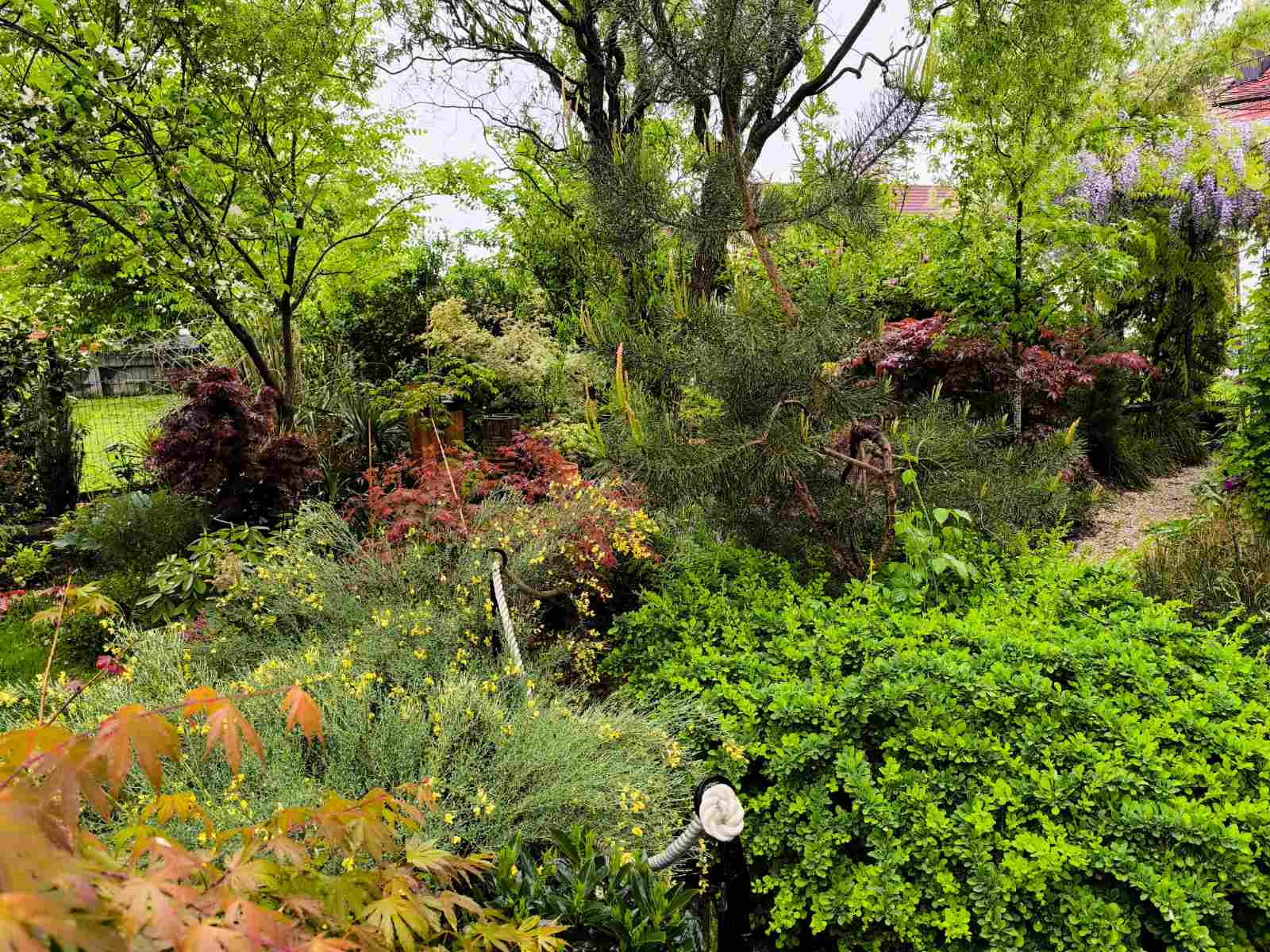 IMG-73b4a257469f3dd0e20ba2cb89599078-V