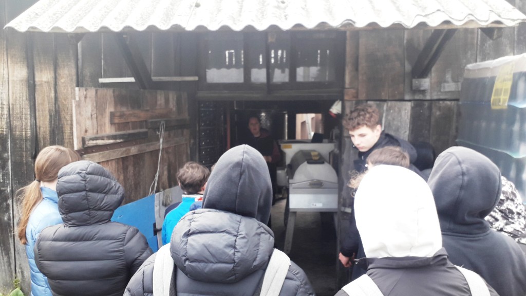 IMG-75116d2197f2926ab2712bd3834bfd13-V IMG-75116d2197f2926ab2712bd3834bfd13-V