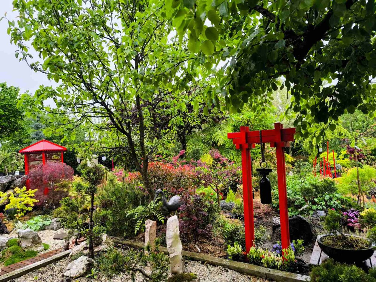 IMG-76774ab50db0e3f86ec3473299e94663-V