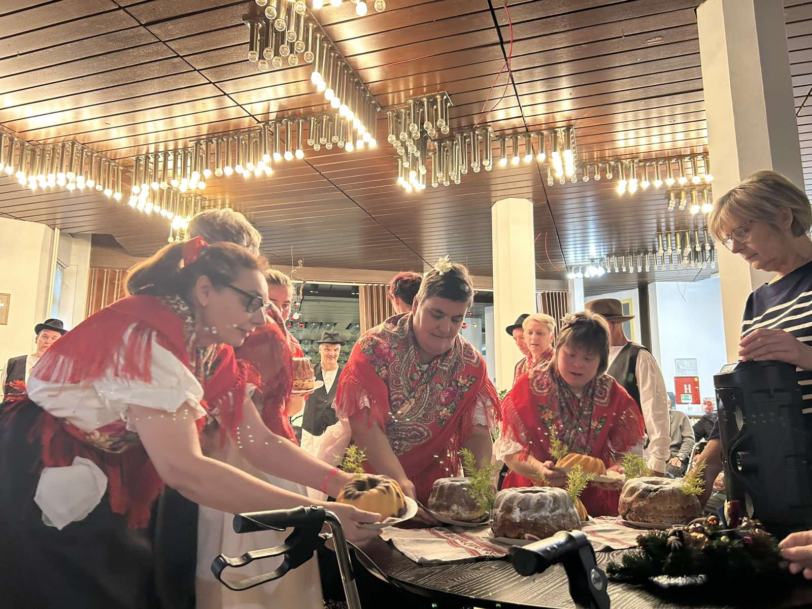 starački dom čakove nastup