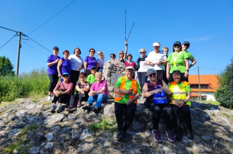 udruga breza, brezje