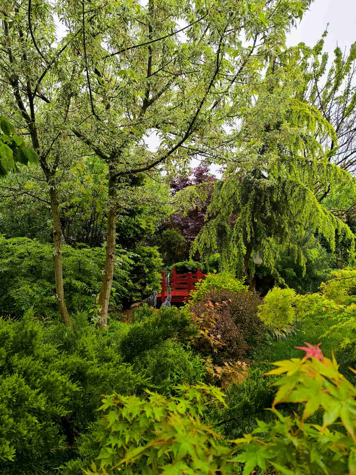 IMG-8e0e6bda5b332a78a7c832d7e38cdef4-V