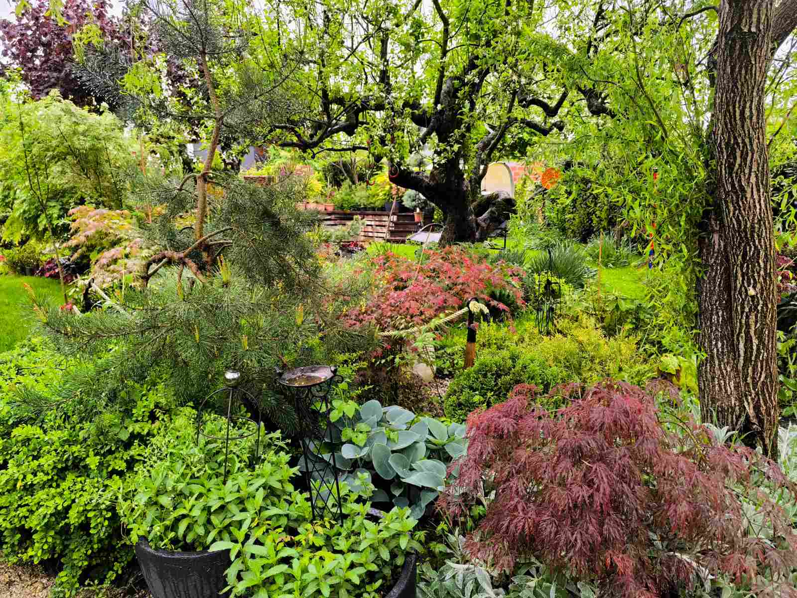 IMG-966ae1d94589a5ea82d7a87dc7ca57a5-V