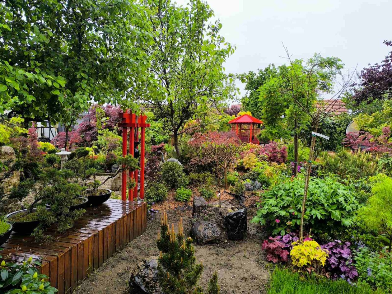 IMG-9e9b6a421b29f3754fd3161a999e94fe-V