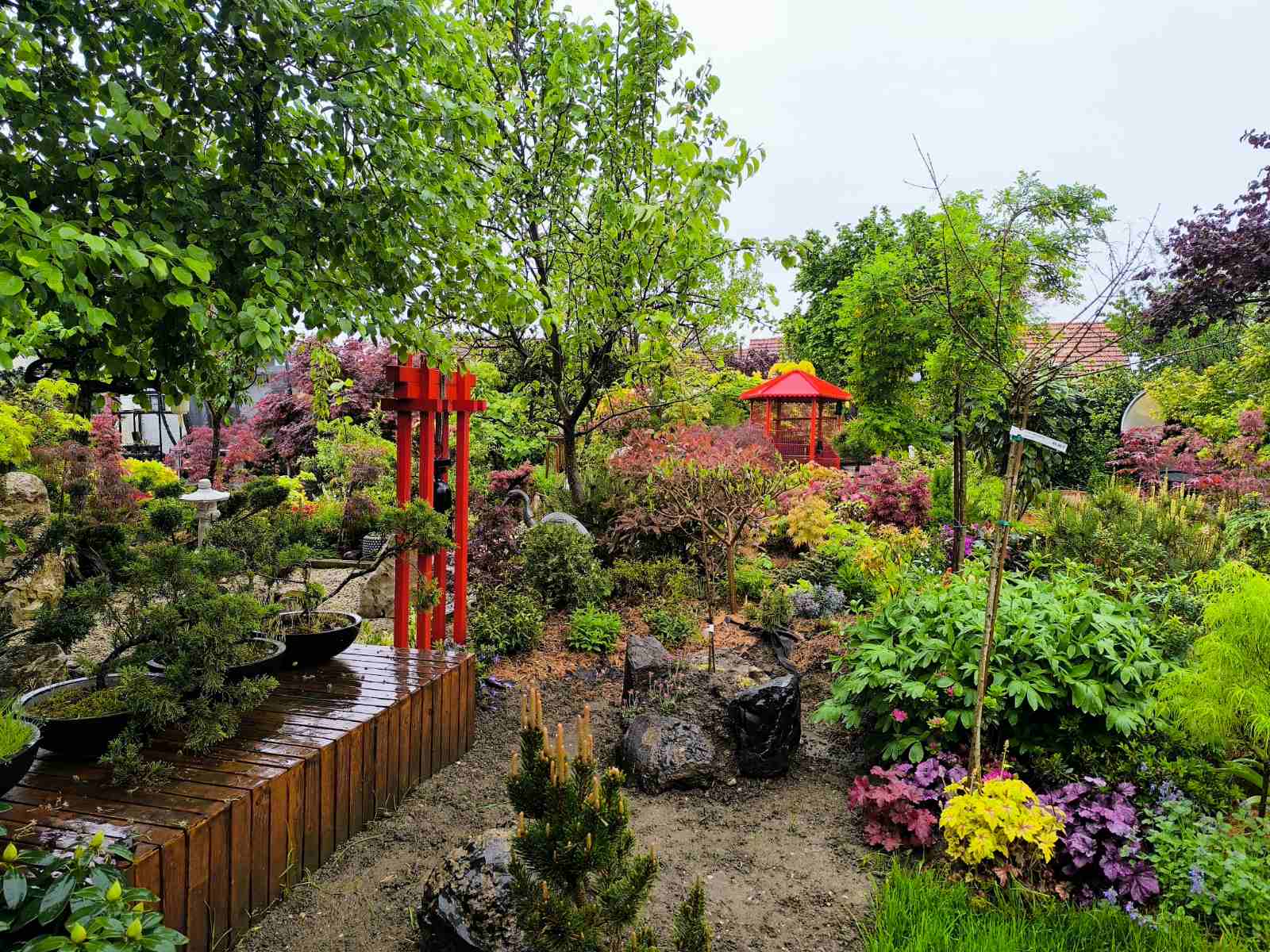 IMG-9e9b6a421b29f3754fd3161a999e94fe-V