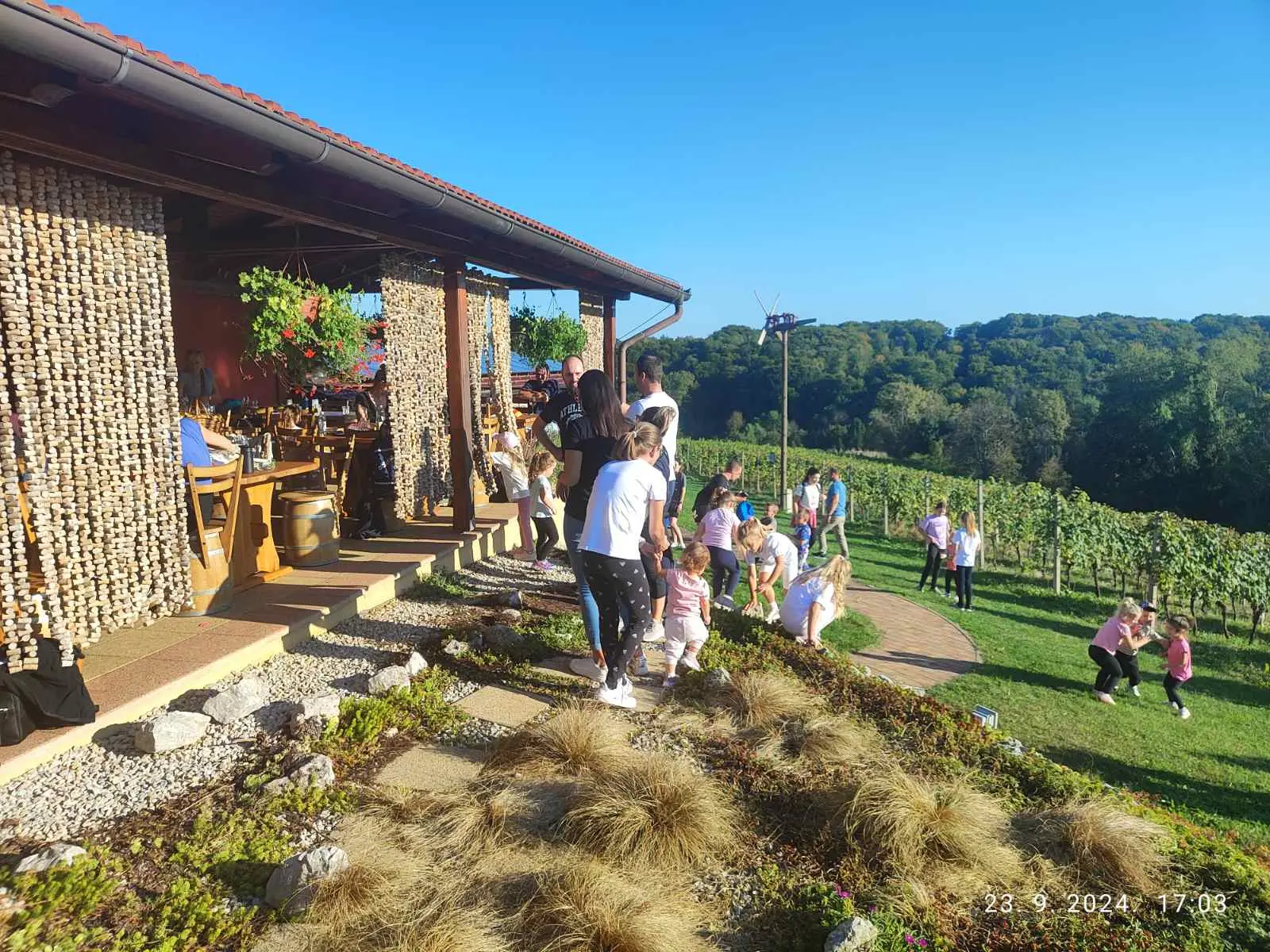 IMG-a7b155e2142ca31828a7d590a6fecf26-V