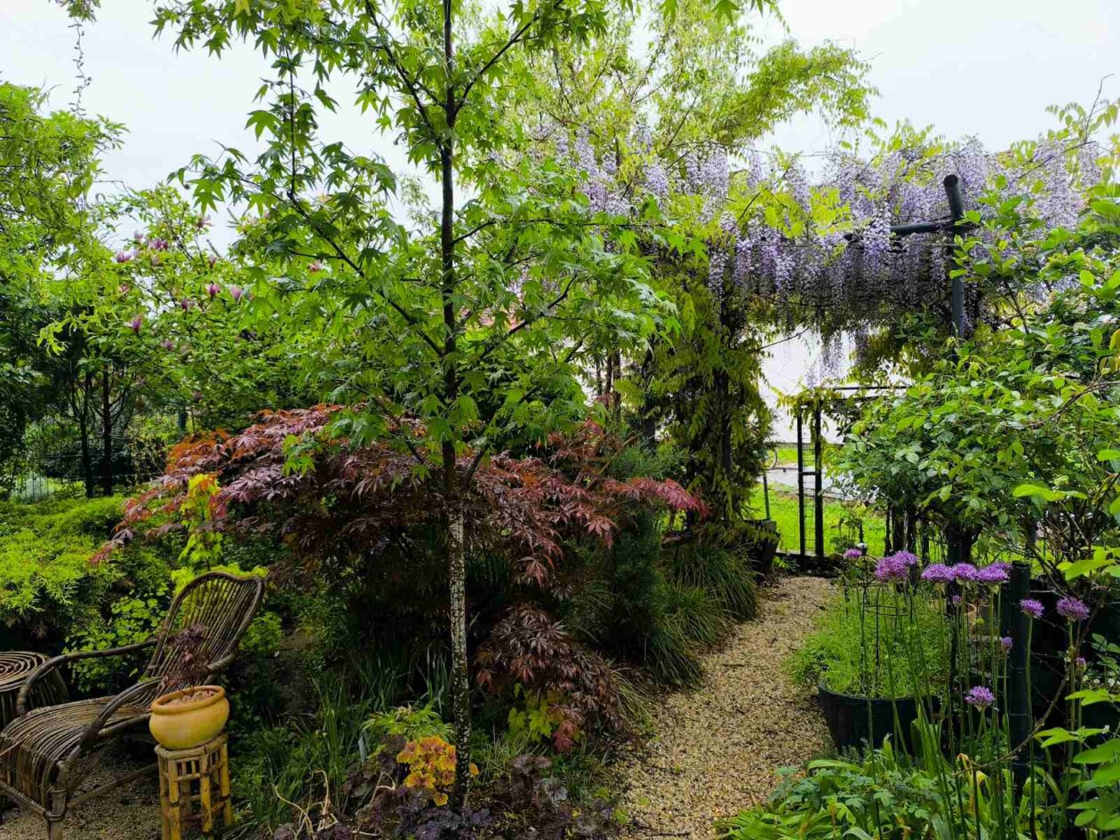 IMG-ac8d6a0fe08ff2b3e6d3737e30fcf5b1-V