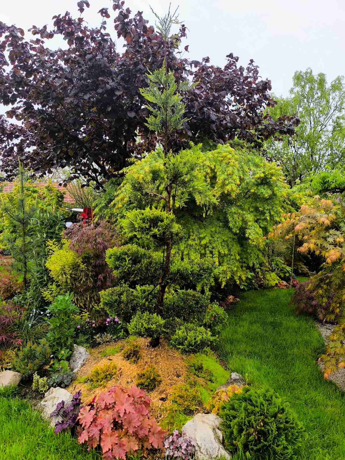 IMG-b83c8183a1e61f4a428ca7adb7147a59-V