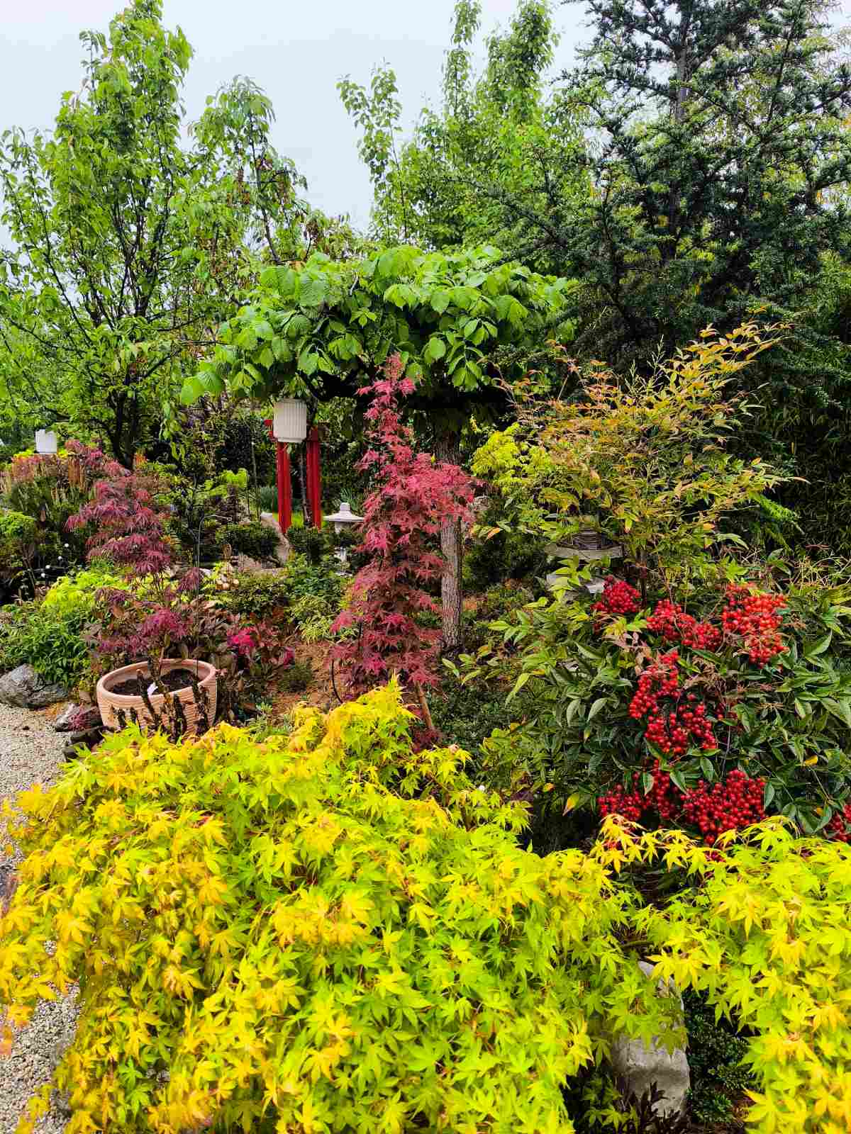 IMG-b8d6844a9da3c0d4d3bc8ff11777de8e-V