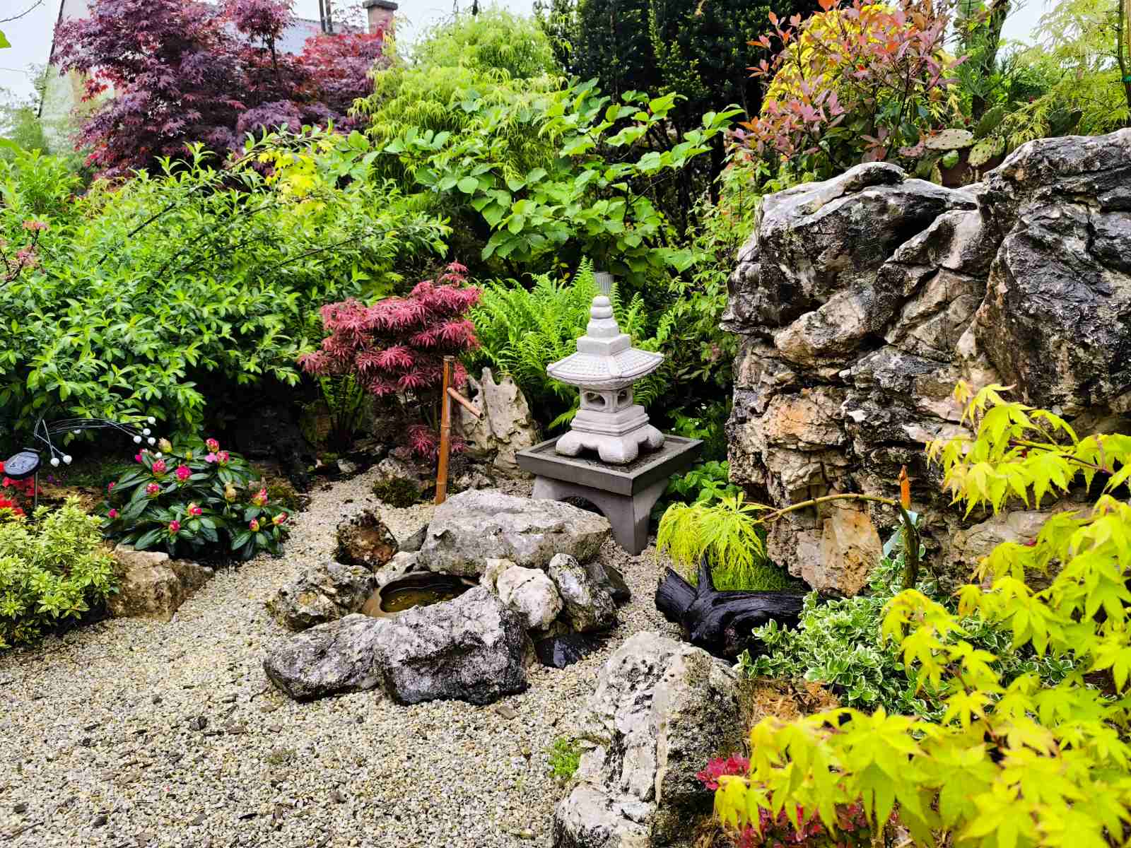 IMG-c51fdc1a28e05d9c5177485701536669-V