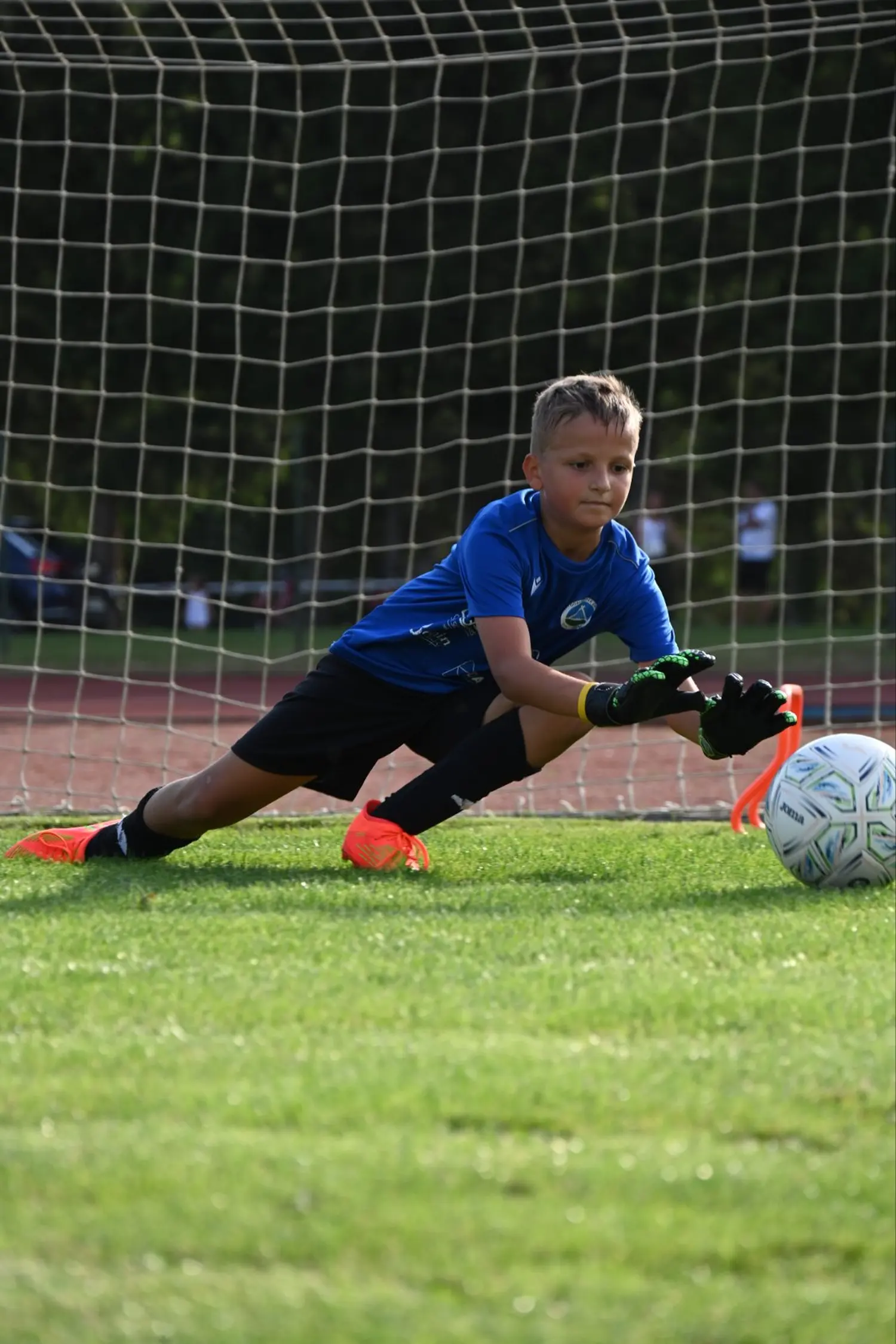 IMG-c70bee72019852c111ff69c5a9319ecf-V IMG-c70bee72019852c111ff69c5a9319ecf-V