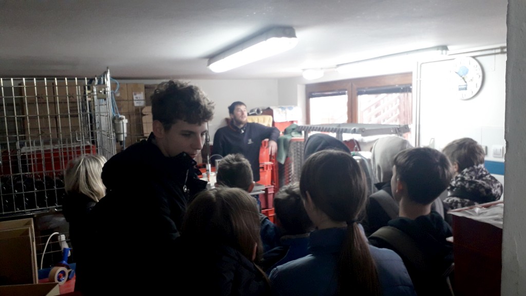 IMG-ca93e36b26bca9ba0d803485a61bdc1d-V IMG-ca93e36b26bca9ba0d803485a61bdc1d-V