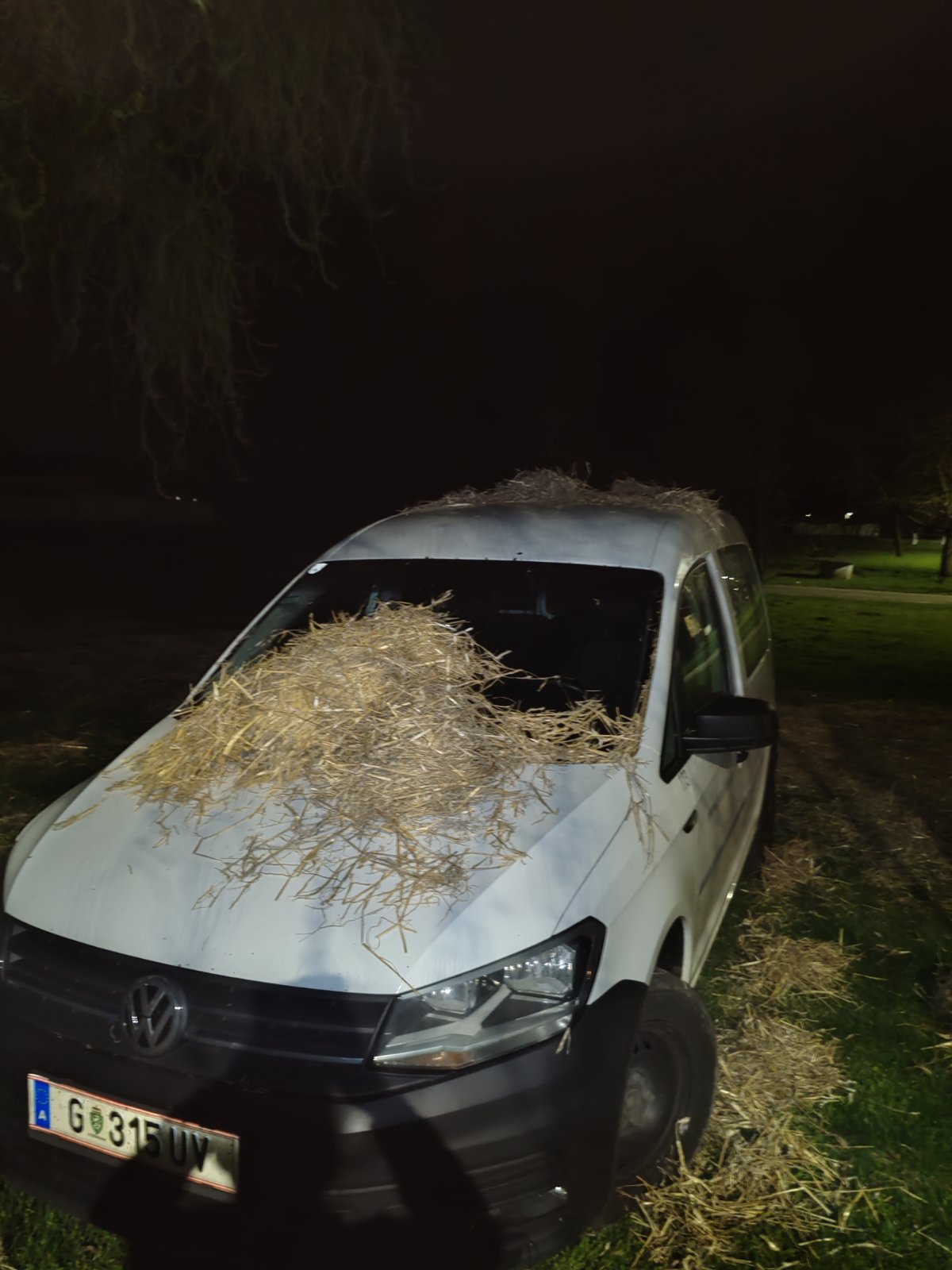 IMG-cb74b9acf2e7c598d29a8fad4901b821-V IMG-cb74b9acf2e7c598d29a8fad4901b821-V