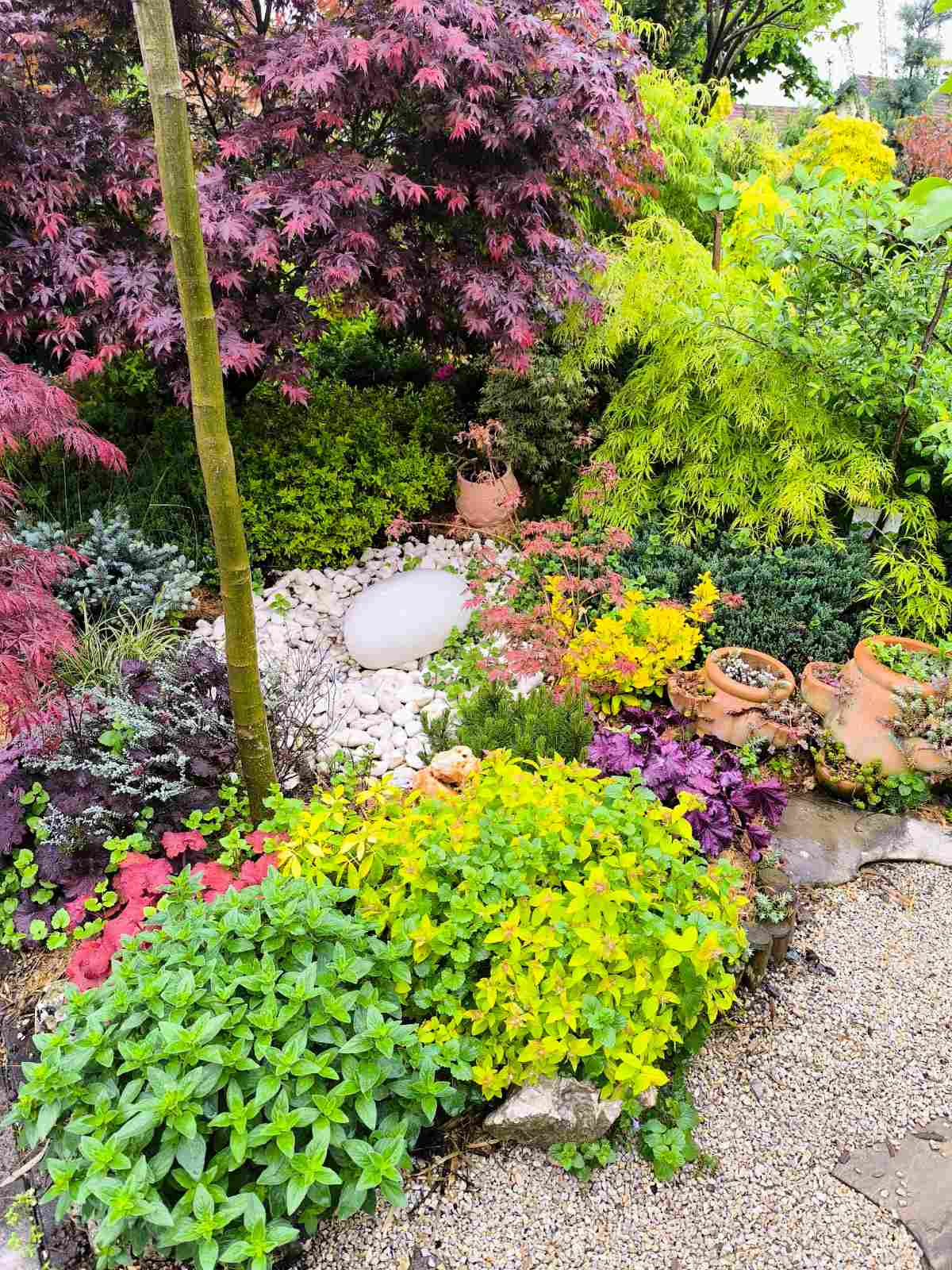 IMG-cca4a3a07dead94738c43a3741315321-V