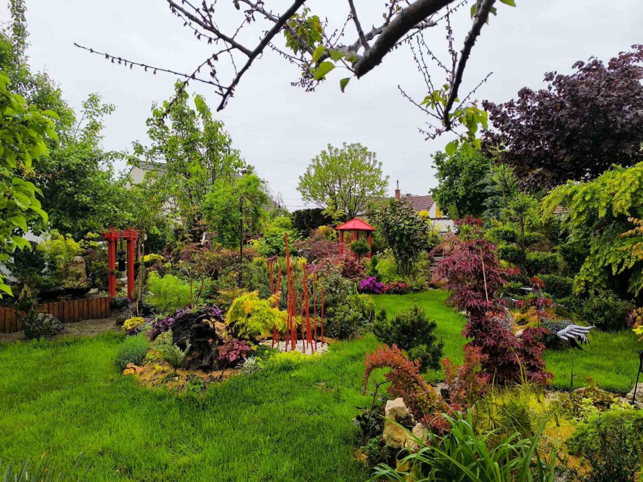 IMG-d4e8562c12b1718a33c6b0cec41bb9a2-V