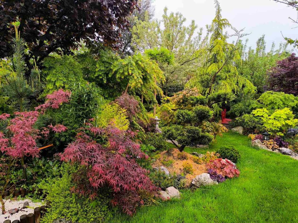 IMG-d6c2d1e937fae9fdff0164460e3a7d71-V