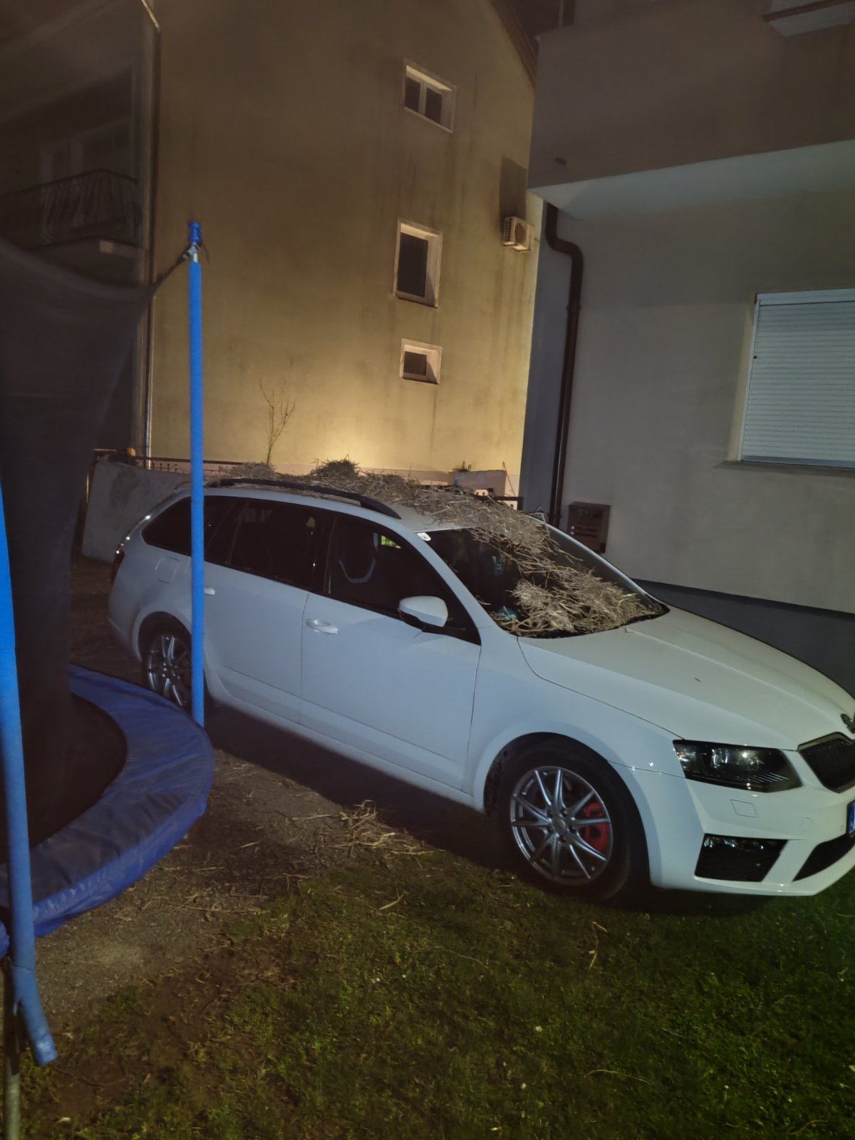 IMG-e0066763b91d6bdfe748b08114e2ddef-V IMG-e0066763b91d6bdfe748b08114e2ddef-V