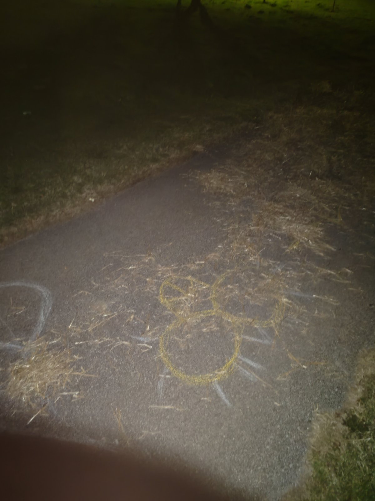 IMG-e1e148f52aa8e9defffa6427190158d0-V IMG-e1e148f52aa8e9defffa6427190158d0-V