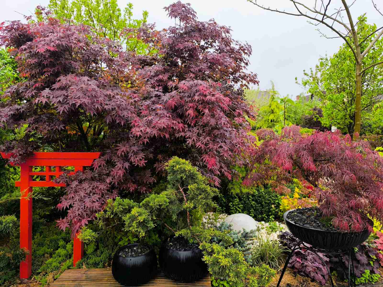 IMG-e745358d3fc7f6504aae52700ba87091-V