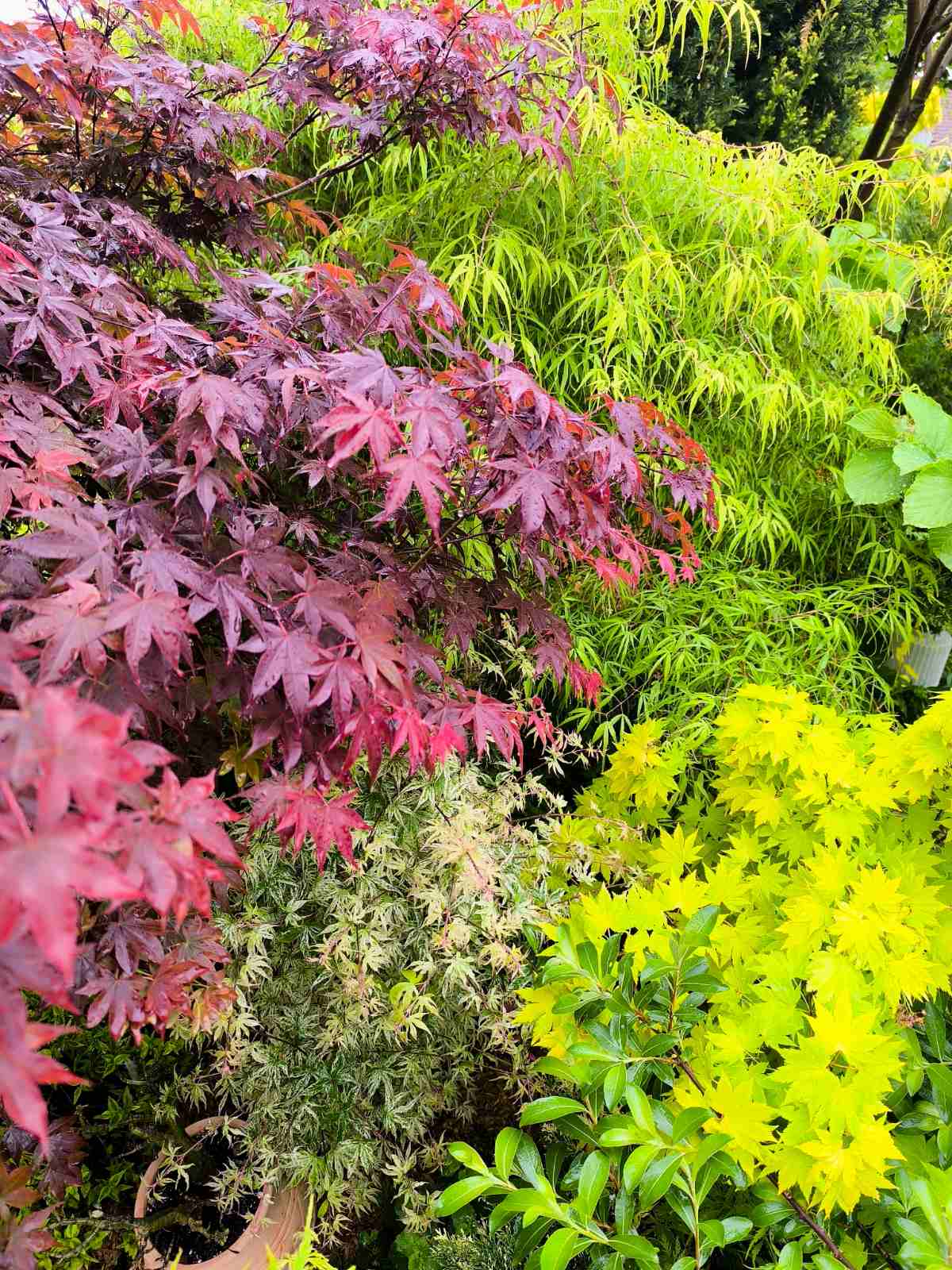 IMG-f1281c10da14717c4ff41c0c5111f2c0-V