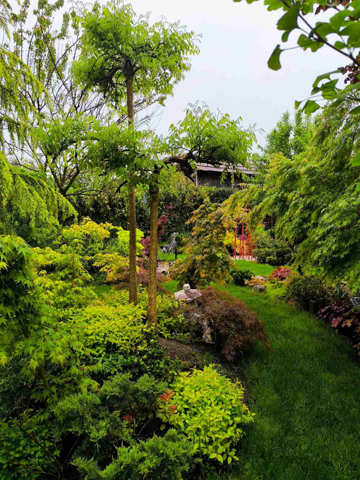 IMG-f35a6b646fe3fe510da18c95b287e5fd-V