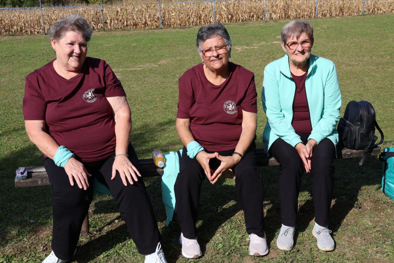 Kestenijada na Plešivici