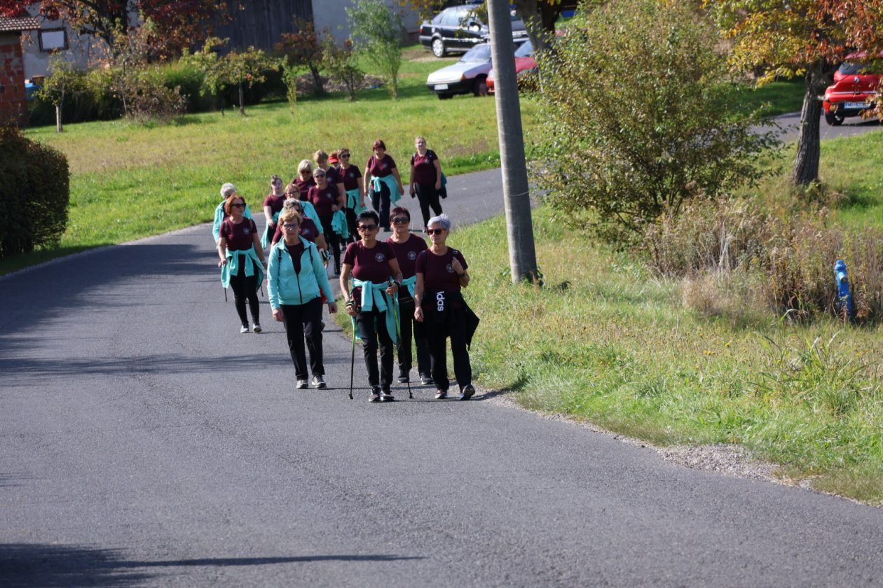 Kestenijada na Plešivici
