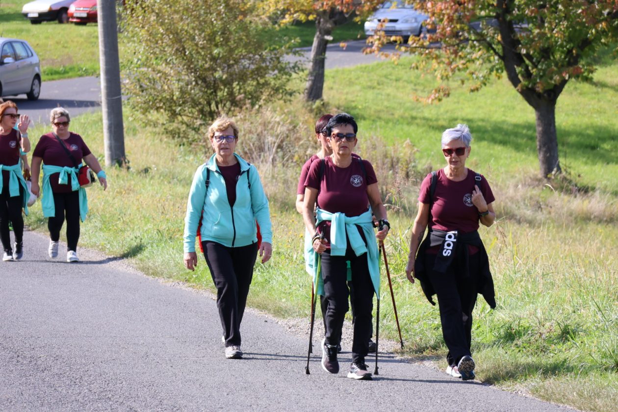 Kestenijada na Plešivici