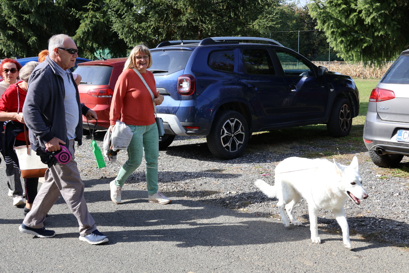 Kestenijada na Plešivici