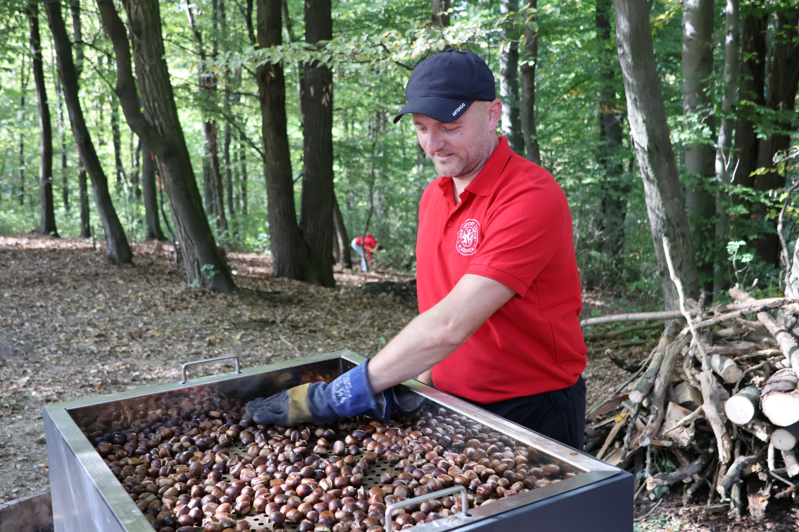 Kestenijada na Plešivici