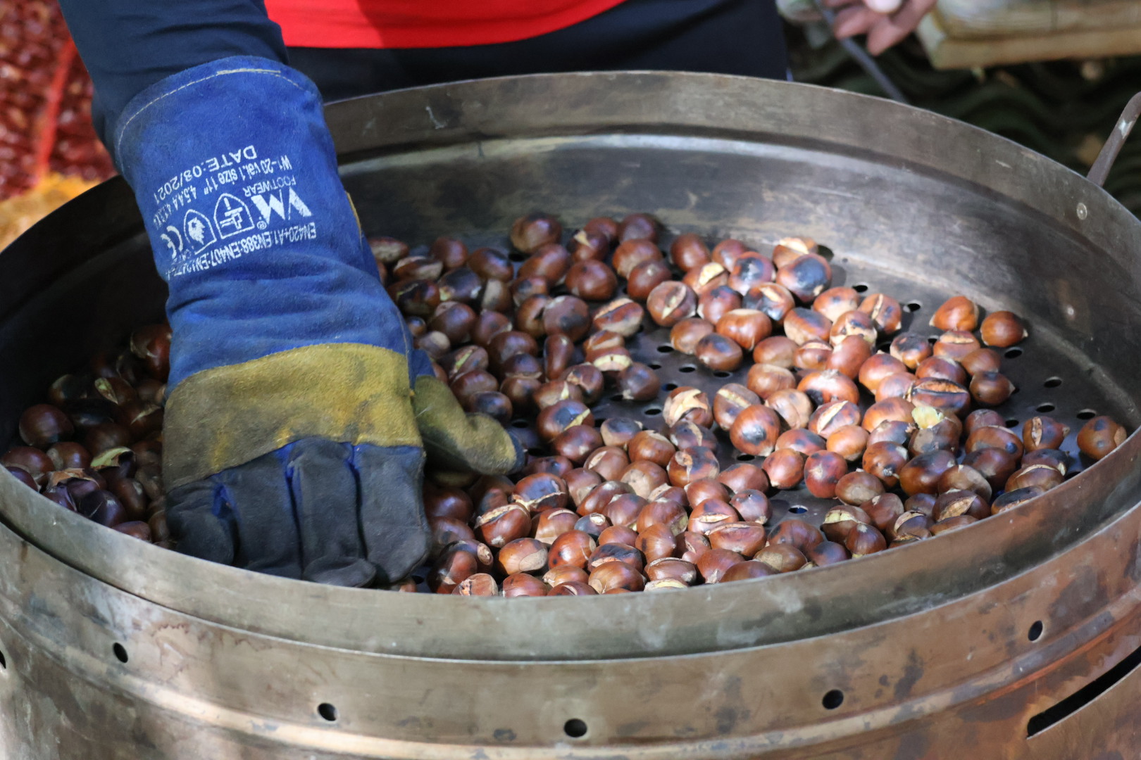 Kestenijada na Plešivici