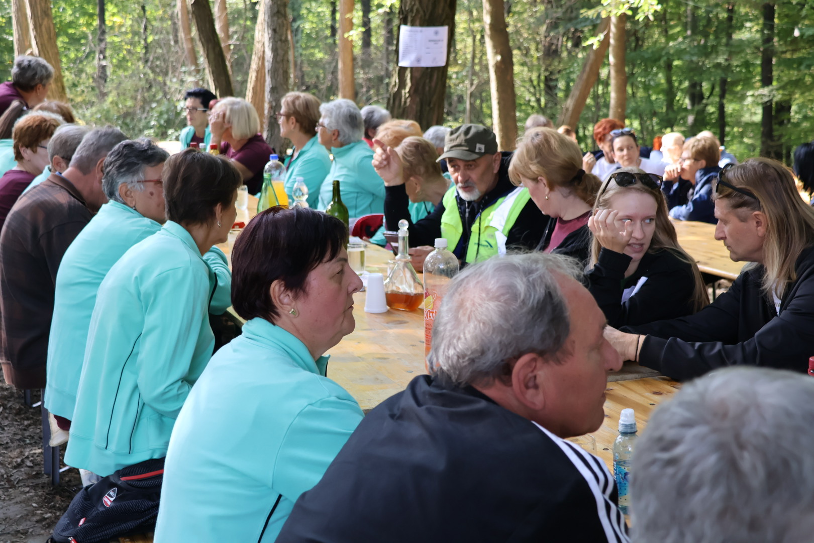Kestenijada na Plešivici