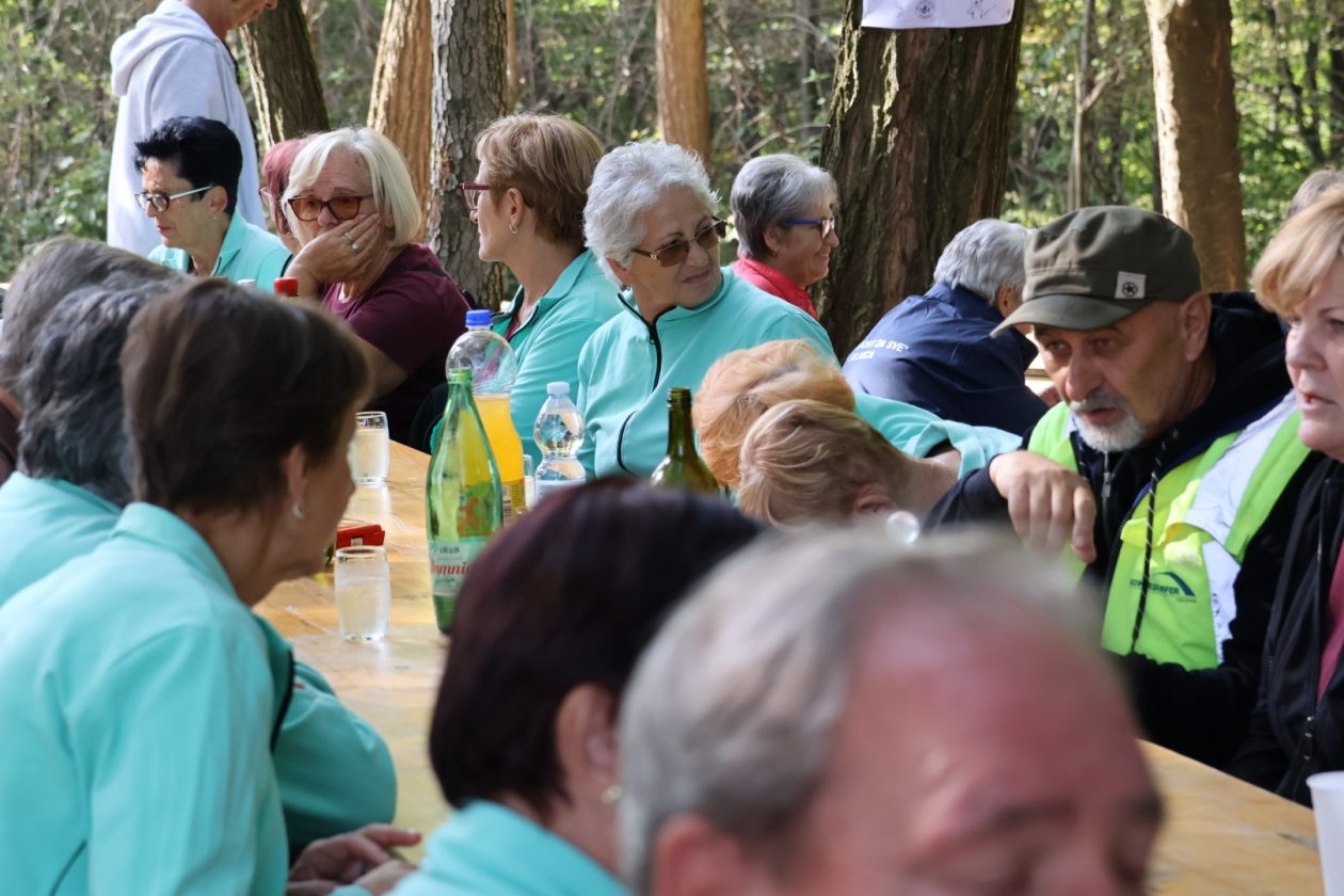 Kestenijada na Plešivici