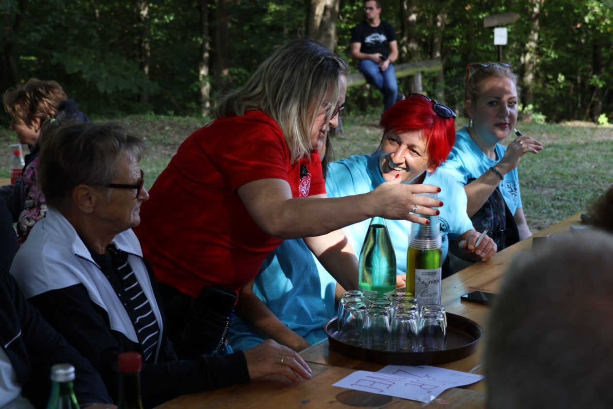 Kestenijada na Plešivici