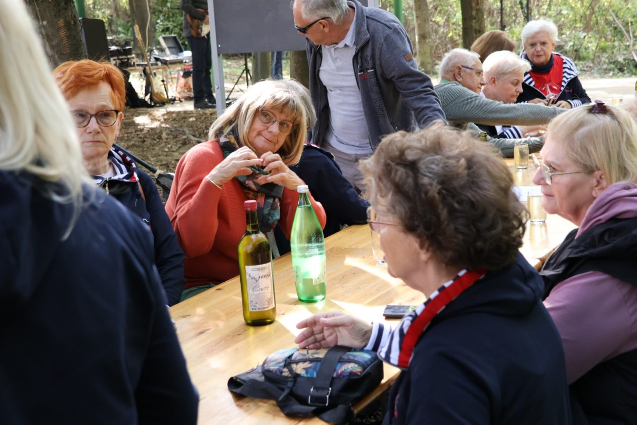 Kestenijada na Plešivici